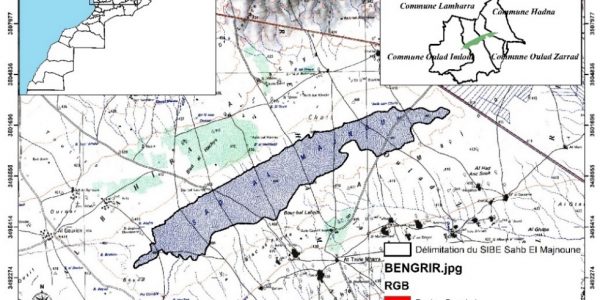 Projet CEPF 110212 CDRT (1)
